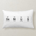 Genius  Pillows (Lumbar)