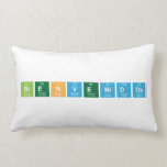 Bienvenidos  Pillows (Lumbar)