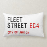 FLEET  STREET  Pillows (Lumbar)