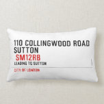 110 collingwood road  Sutton    Pillows (Lumbar)