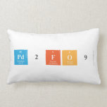 Pd2FO9  Pillows (Lumbar)