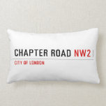 Chapter Road  Pillows (Lumbar)