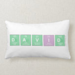 David  Pillows (Lumbar)