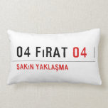 04 fırat  Pillows (Lumbar)