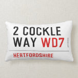 2 Cockle Way  Pillows (Lumbar)
