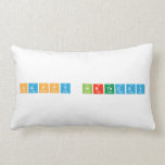 Happy Birthday  Pillows (Lumbar)