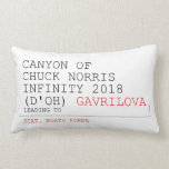 Canyon of chuck norris INFinity 2018 (D'oh)  Pillows (Lumbar)
