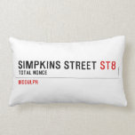 Simpkins Street  Pillows (Lumbar)