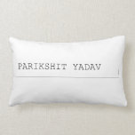 Parikshit yadav  Pillows (Lumbar)