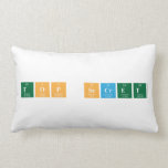 top Secret  Pillows (Lumbar)