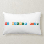 HEY SEVENTY FIVE  Pillows (Lumbar)