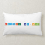 xzavier ray-hall  Pillows (Lumbar)
