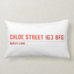 chloe Street  Pillows (Lumbar)
