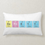 Barnett  Pillows (Lumbar)