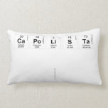 Capolista
 
   Pillows (Lumbar)