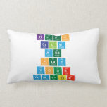 Keep
 Calm
 And
 Play
 Your
 Computer  Pillows (Lumbar)