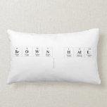 Brown Hall 
   Pillows (Lumbar)