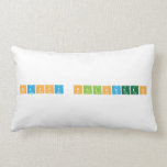 Happy Halloween  Pillows (Lumbar)
