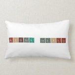 Monsieur Laghdir  Pillows (Lumbar)