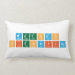 metodo
 cientifico  Pillows (Lumbar)