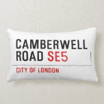 CAMBERWELL Road  Pillows (Lumbar)