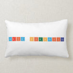 Feria Cientifica  Pillows (Lumbar)