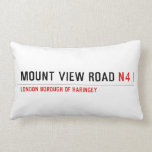 MOUNT VIEW ROAD  Pillows (Lumbar)