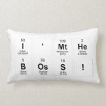 I'mthe
 boss!  Pillows (Lumbar)