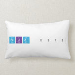 Feliz 2017  Pillows (Lumbar)