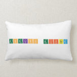 English gifted  Pillows (Lumbar)