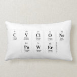 CYCLONE
 POWER  Pillows (Lumbar)