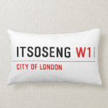 Itsoseng  Pillows (Lumbar)