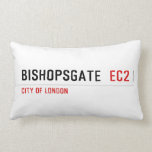 Bishopsgate   Pillows (Lumbar)