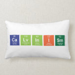 Calvinism  Pillows (Lumbar)