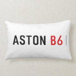 Aston  Pillows (Lumbar)