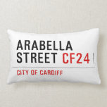 Arabella Street  Pillows (Lumbar)