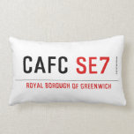 CAFC  Pillows (Lumbar)