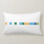 N D T Mechanical   Pillows (Lumbar)