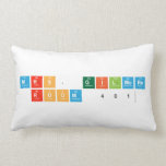 Mrs. Gilmore
 Room 401  Pillows (Lumbar)