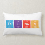 FeLiNeS  Pillows (Lumbar)