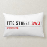 Tite Street  Pillows (Lumbar)