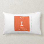 I   Pillows (Lumbar)