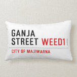 Ganja Street  Pillows (Lumbar)