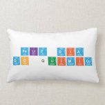 Feliz dia 
 do Quimico  Pillows (Lumbar)