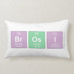 Brosi  Pillows (Lumbar)