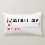 SLAGSTREET .com   Pillows (Lumbar)