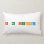 I Am Funny!  Pillows (Lumbar)