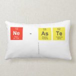 NE-ASTE
   Pillows (Lumbar)