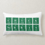 Chuck
 Norris  Pillows (Lumbar)