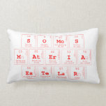 somos
 materia
 estelar  Pillows (Lumbar)